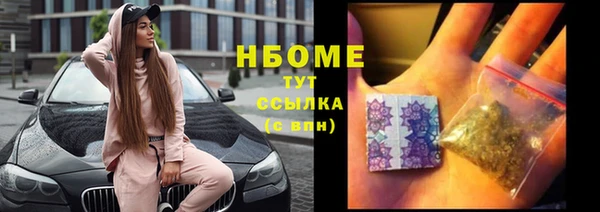 гашик Богородицк