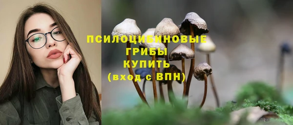 гашик Богородицк