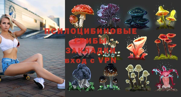 соль курить ск Богданович