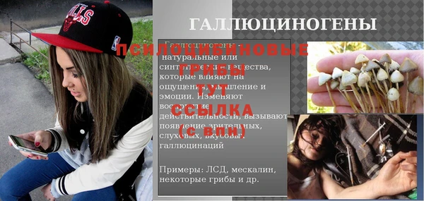 соль курить ск Богданович
