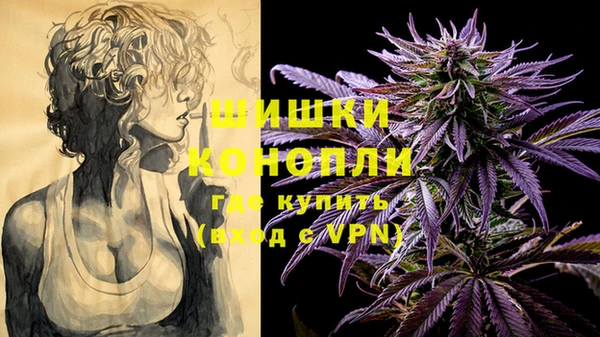2c-b Богородск