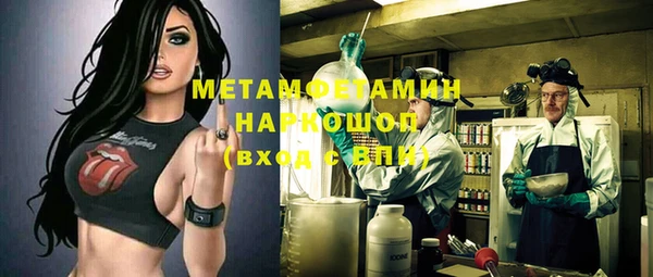 PSILOCYBIN Бородино