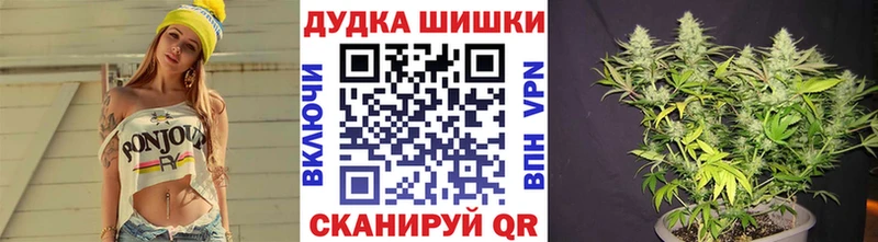 Шишки марихуана индика  где продают наркотики  Нефтеюганск 